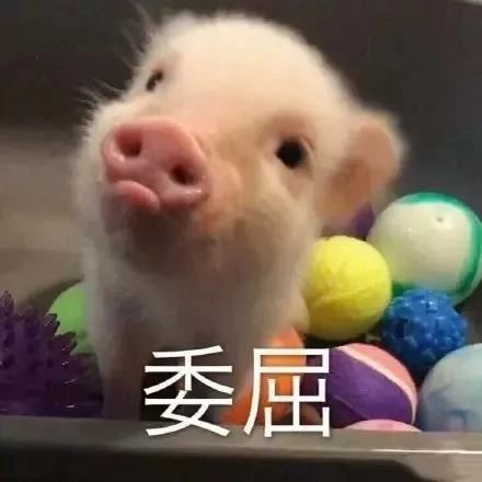 亙泰